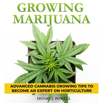 Growing Marijuana