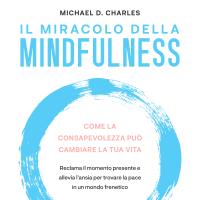 Il Miracolo della Mindfulness