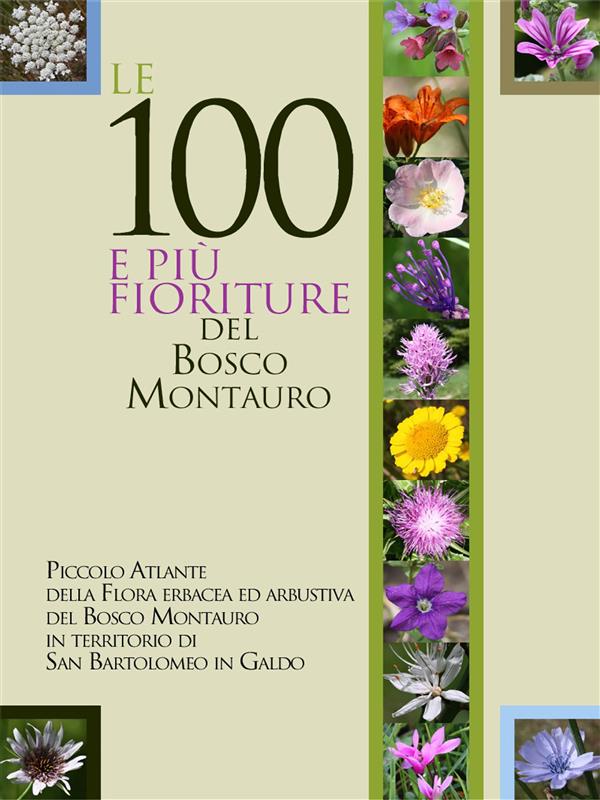 Le 100 e più fioriture del Bosco Montauro