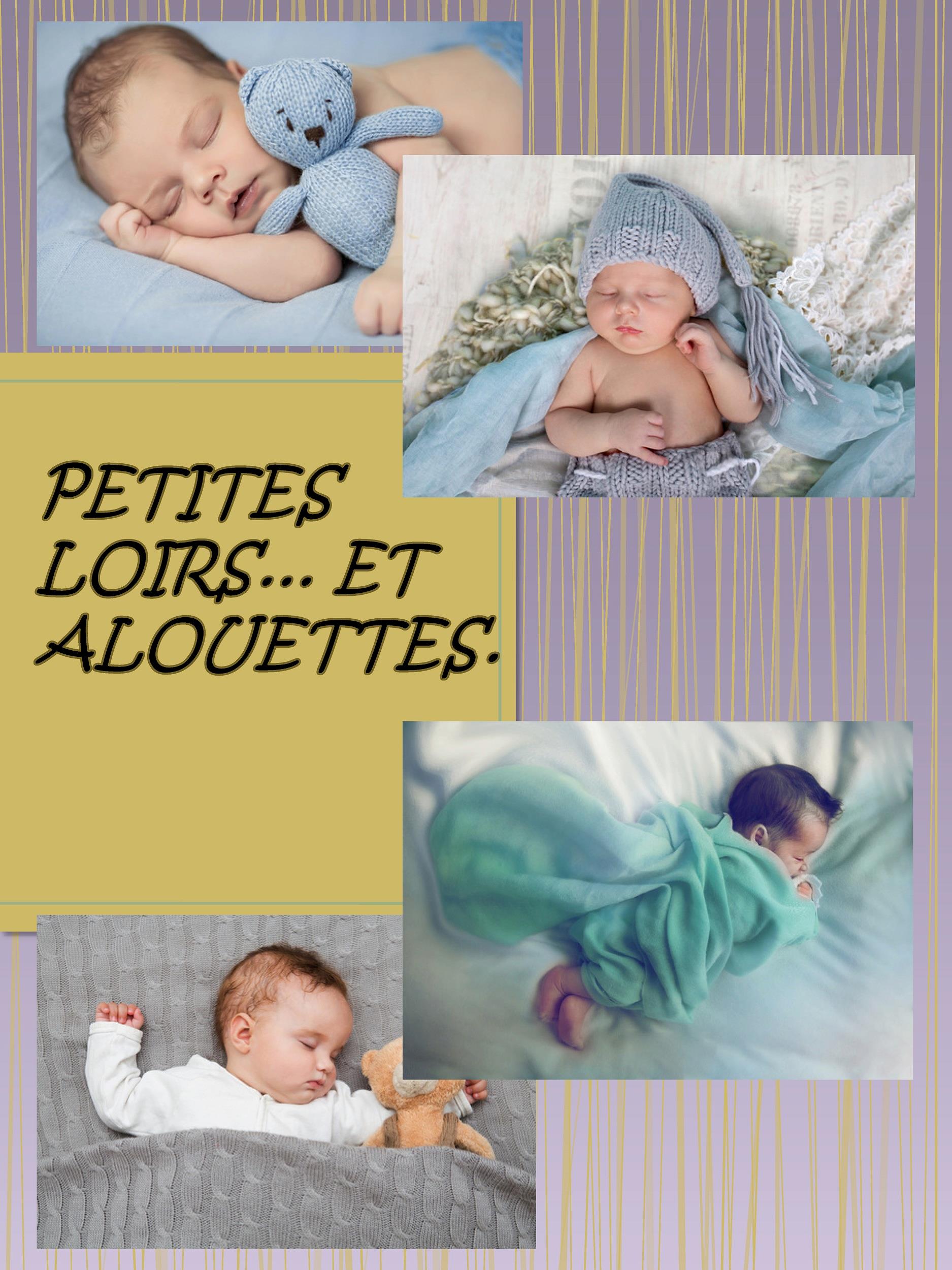 Petit Loir et Alouettes