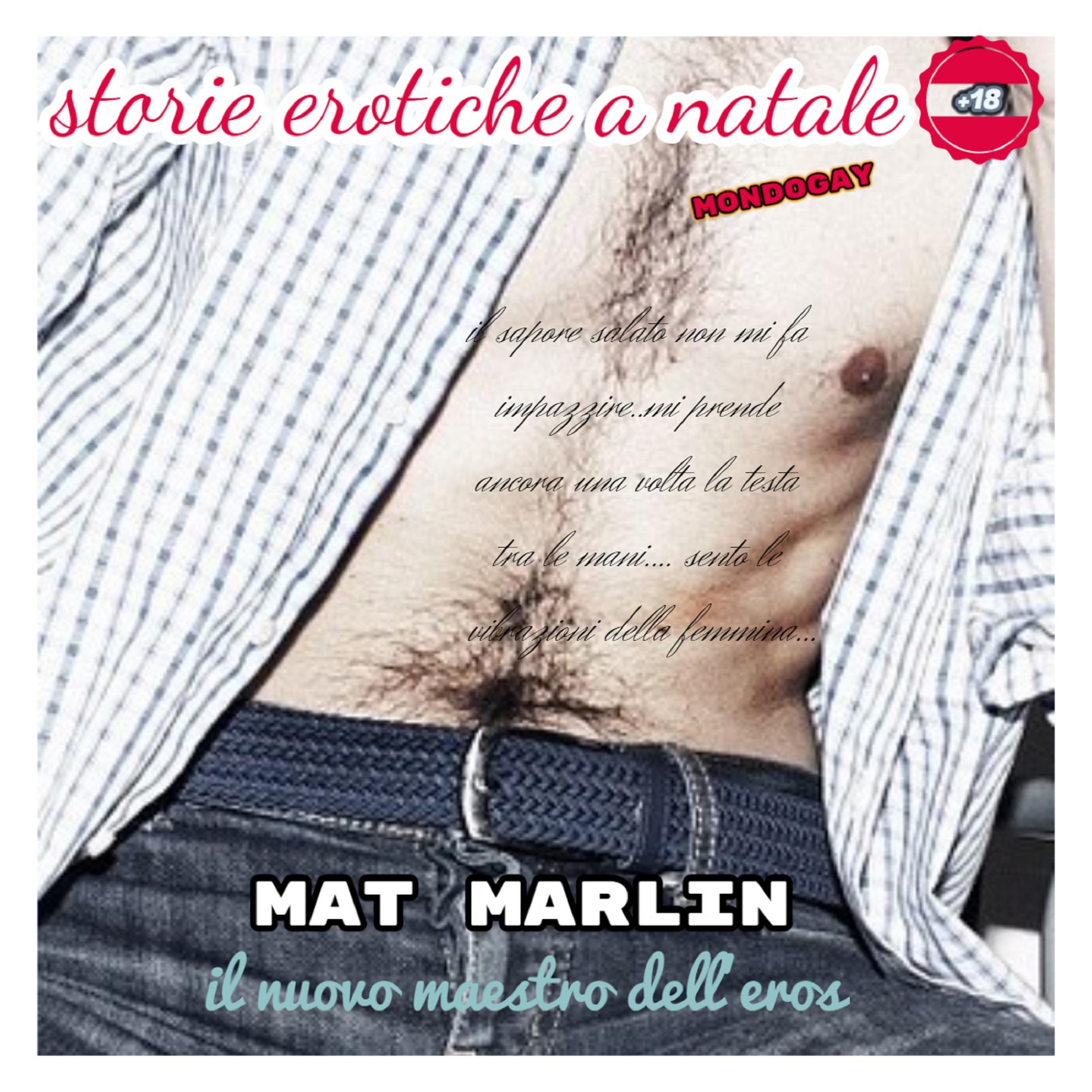 Storie erotiche a Natale (gay)