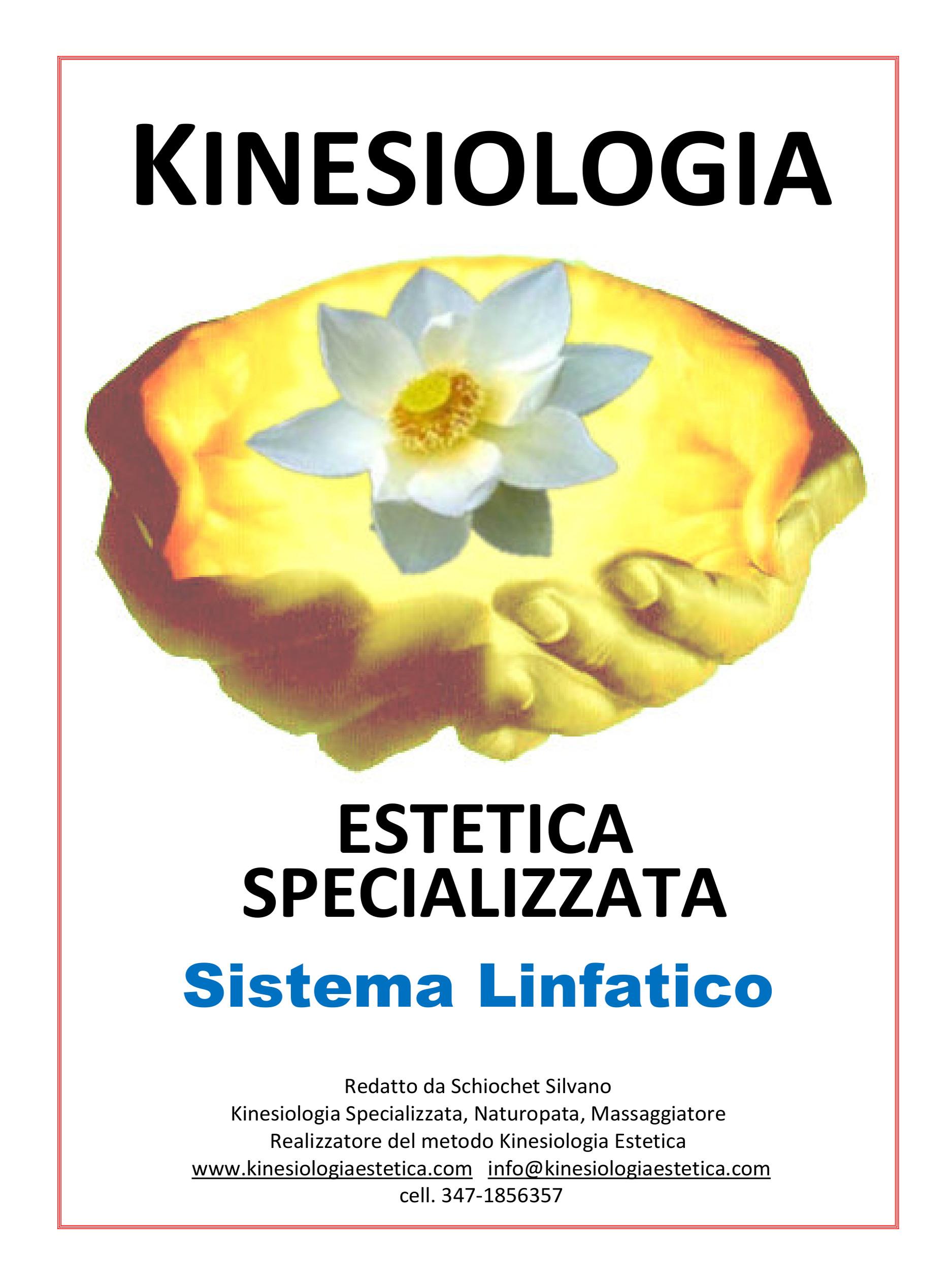 Il Sistema Linfatico con la Kinesiologia Estetica