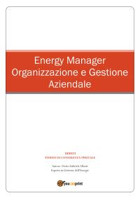 Energy Manager - Organizzazione e Gestione Aziendale