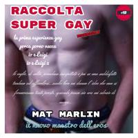 Raccolta Super Gay [Mat Marlin]