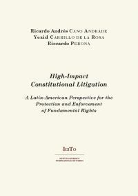 High-Impact Constitutional Litigation
