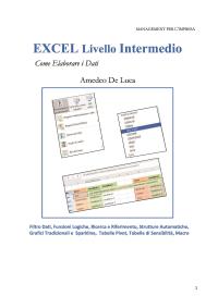 EXCEL Livello intermedio