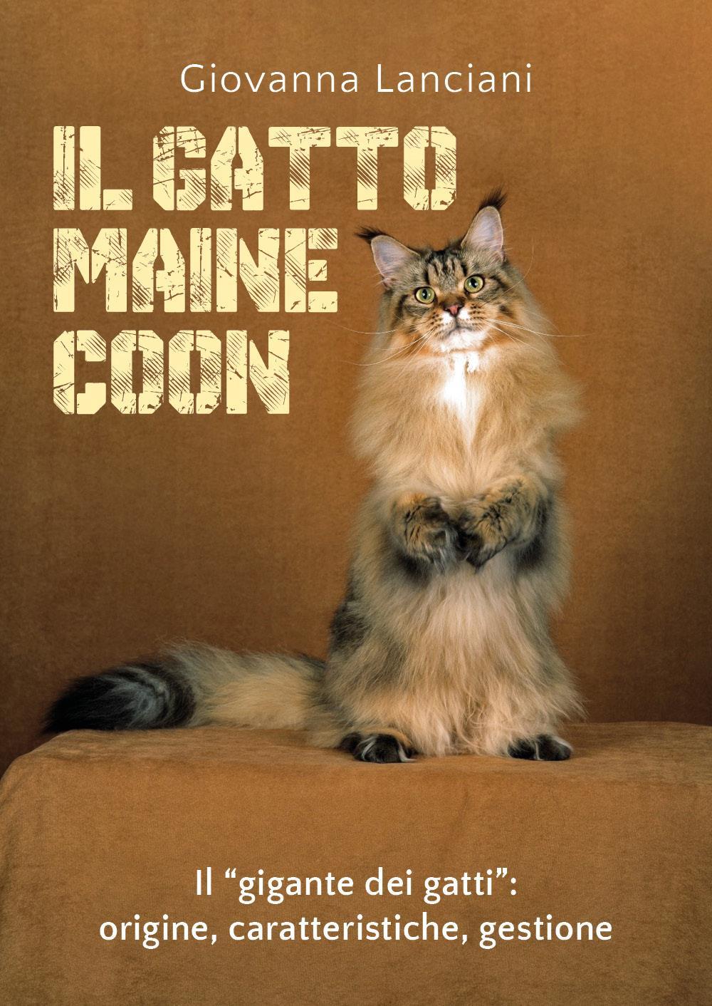 Il gatto Maine Coon