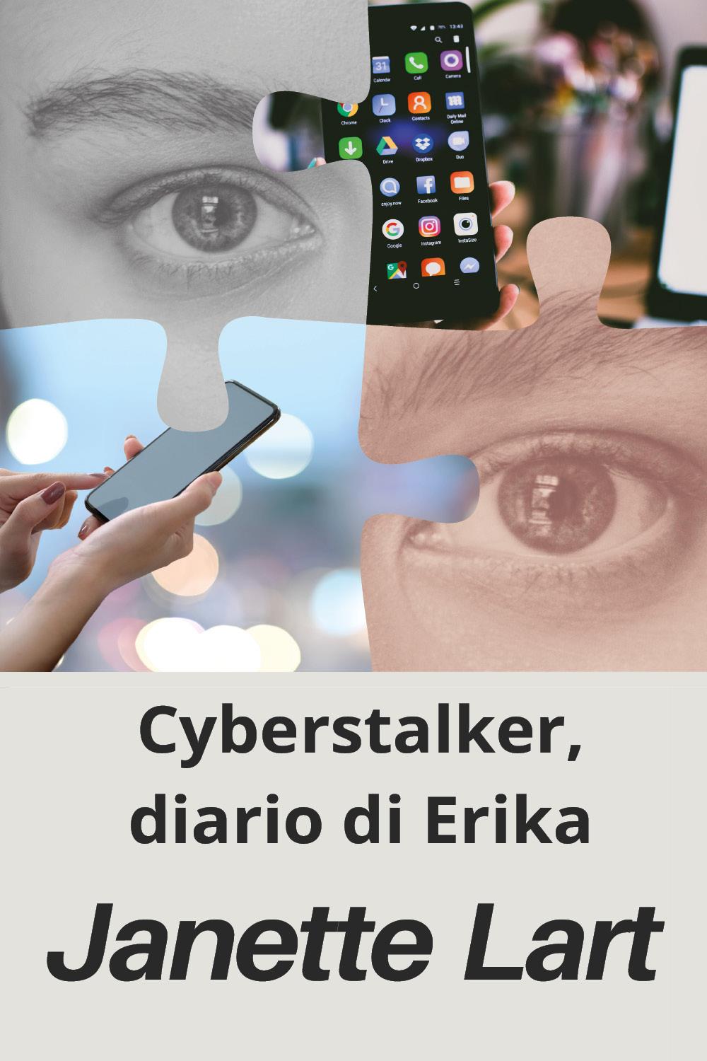 Cyberstalker, diario di Erika