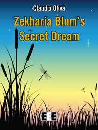 Zekharia Blum' secret dream