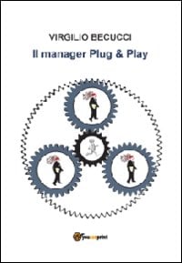 Il manager plug & play
