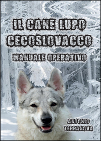 Il cane lupo cecoslovacco