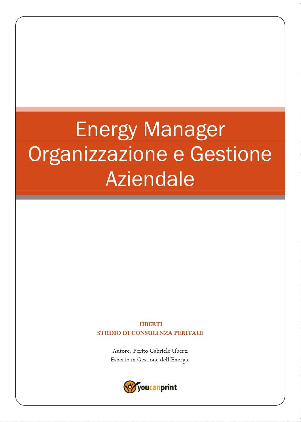 Energy Manager - Organizzazione e Gestione Aziendale