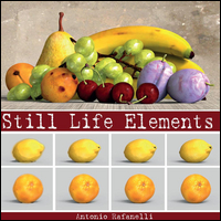 Still Life Elements