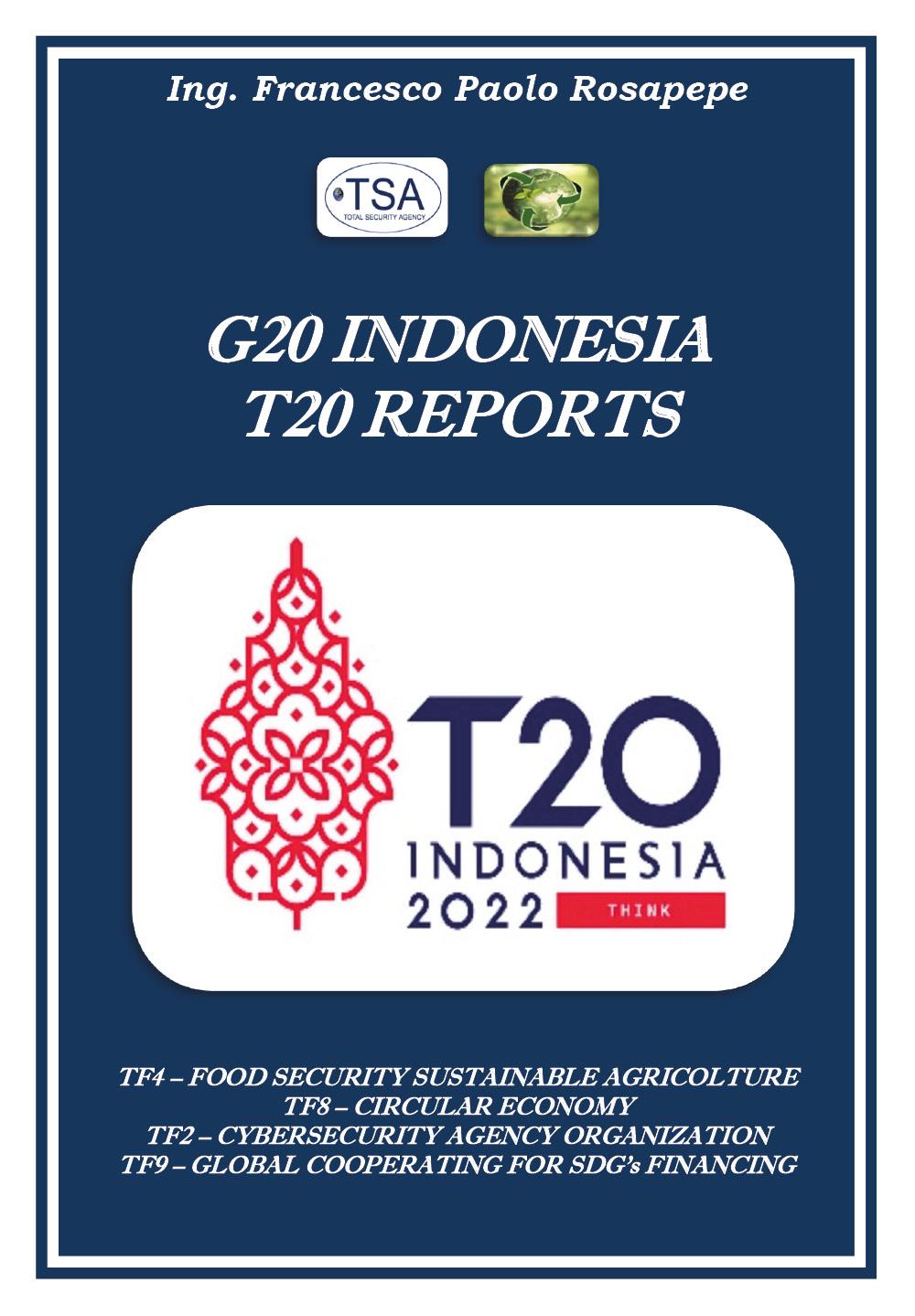 G20 Indonesia T20 Reports