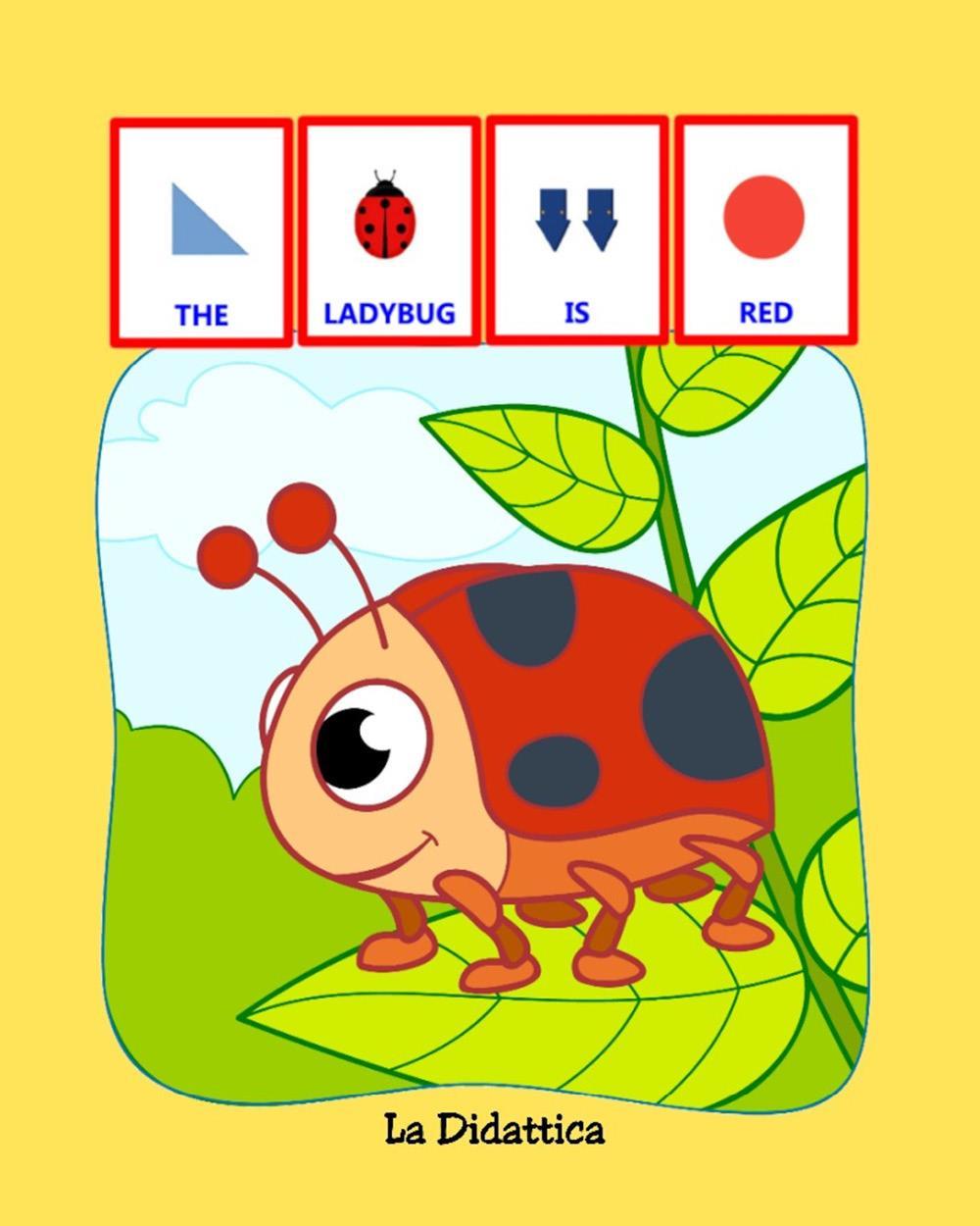 The ladybug is red