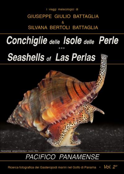 Conchiglie delle Isole delle Perle - Seashells of Las Perlas