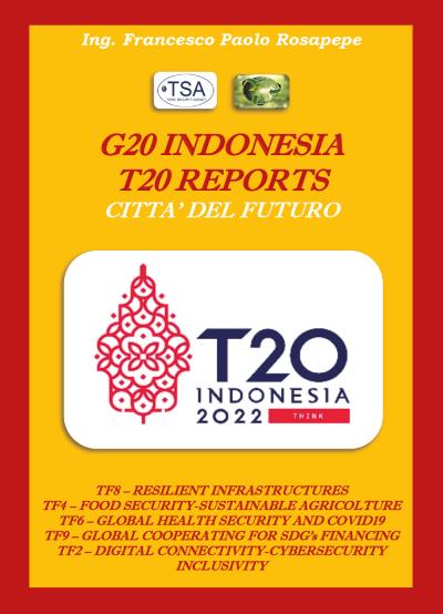 G20 INDONESIA T20 REPORTS CITTÀ FUTURE