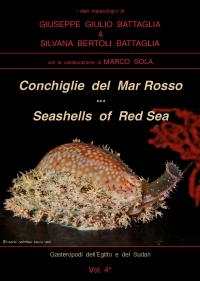 Conchiglie del Mar Rosso - Red Sea's Seashelles