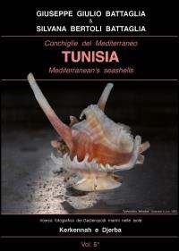 Conchiglie del Mediterraneo - Tunisia - Mediterranean's seashells