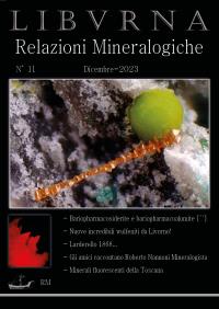Libvrna N°11 - Relazioni Mineralogiche