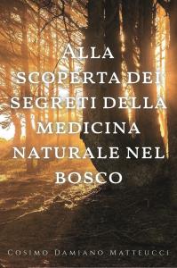 Alla scoperta dei segreti della medicina naturale nel bosco