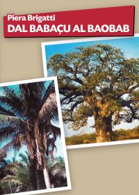 Dal babaçu al baobab